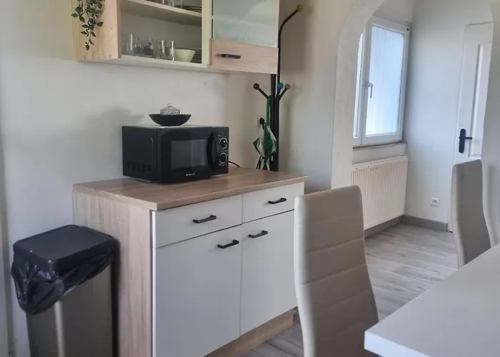 Maison Cosy 7 Minutes Des Frontieres Prázdninový dům Rosenau