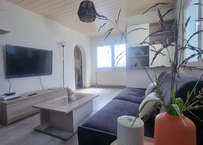 Prázdninový dům Maison Cosy 7 Minutes Des Frontieres Rosenau